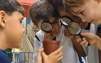 Descoberta inusitada: planta carnívora aguça a curiosidade dos estudantes